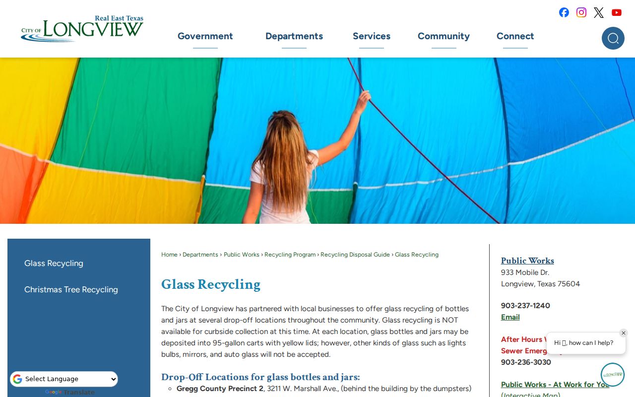 Longview municipal court criminal record portal in Gregg County